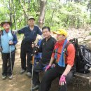 밤나무길 이미지