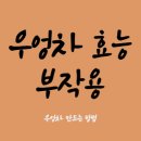 우엉차 효능 부작용 이미지