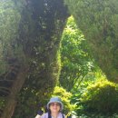 미라농장 이미지