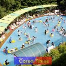 계명산자연휴양림 야외물놀이장 이미지