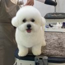 몽스파 연제점 이미지