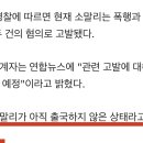 황금고블린 이미지