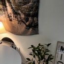 미스테이(Mi Stay) 이미지