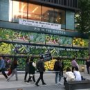 피그하우스 이미지