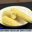 찰옥수수맛집