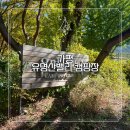 유명산밸리 캠핑장 이미지