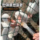 안데르센 어린이집 | 32P : 남양주 어린이 체험농장 놀거리가 가득한 주말나들이 안데르센정원