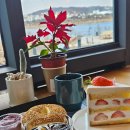 강남로(정하동) | 안동 카페 추천! 정하동 ‘라클라세빈’ 베이글 &amp; 디저트 리얼 맛 후기