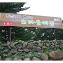바로올레 이미지