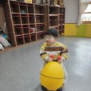 🌼도담반 🐝범블바운스🐝🌼 이미지