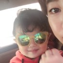 상어가족 인형뽑기 이미지