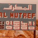 김영복농장 이미지
