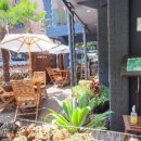 랑데자뷰건대 이미지