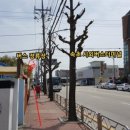 등대비치게스트하우스 이미지