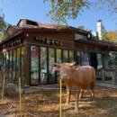 모두랑식당 | 발왕산 케이블카 타기 전 점심식사 / 평창 맛집 ‘모두랑용평셀프한우마을’ 방문 후기
