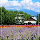 이케이여행사 | 일본 훗카이도 여행 삿포로 비에이 버스투어 8월 여름 후라노 추천