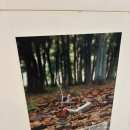 한국광고박물관 이미지