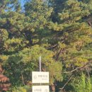 정관 아마빌레 피아노 연주회 | 정관 탄티 / 정관카페 / 부산 대형카페 / 기장 정관 카페 / 해운대 대형카페 / 피아노 카페 / 연주회...