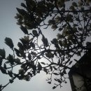 가곡농장 이미지