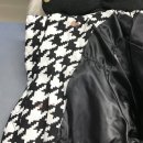 얼룩빼기 이박사 이미지