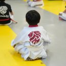 경희대태권도장 이미지