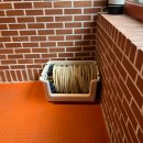 oasissay | [경산/경산카페/하양카페] 오아시스세이_oasissay #신상카페 #슈스틱