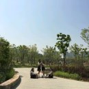 대일관광고등학교 이미지