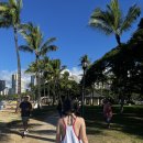 나무아래서(푸드트럭) | 하와이 3