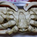 대국수산 - 중구 인중로 87 | 대국수산