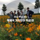 강욱농장 | [우체국예금 서포터즈] 고창 가을꽃잔치에서 '가치모아적금'을 외치다!