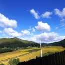 박달림3 네이버블로그