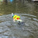 구름주유소 | 캠핑일기-&lt;임실 하늘구름길 캠핑장&gt; 2박 3일 가족 캠핑 후기, 여름 계곡 캠핑 추천