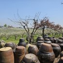 동민목장 이미지