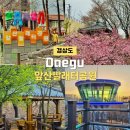 앞산빨래터 상징조형 | 대구 앞산빨래터공원 주차장 앞산해넘이전망대 산책하기 좋은 곳 꽃구경