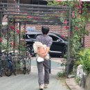 개 편한 세상 이미지