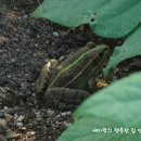 예지농장 이미지