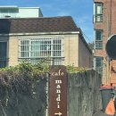 빛나는 강아지 | [부산] 크리스마스 트리가 한가득 빛나는 &#39;카페 만디&#39;, 강아지와 함께 다녀온 후기