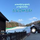 에버스노우 | 겨울 에버랜드 방문후기 눈썰매장 스노우버스터 추천