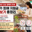 홈플러스(주) 병점점(냉동신고) | 고유가 지원금 사용처 + 12년차 주부 + 서울 실제 장보기 총정리