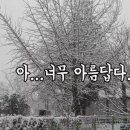 낭만지구인 이미지