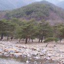 솔숲유원지 이미지