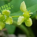 토요일 이미지