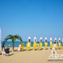 하이컷 카카오 검색결과