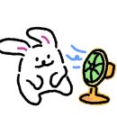 유폴24시 애견셀프목욕 이미지