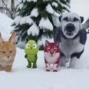 따자하오 이미지