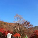 제 216회차 포항 마루금 산악회 정기산행공지 이미지