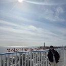 정방동 가야밀면 남쪽 | 부산 여행)블루라인파크 노선 따라 청사포 - 미포 낭만산책