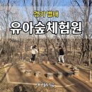 반찬놀이터 | 🌳 별내 유아숲체험원 아이와 놀이터 후기 | 자연 속에서 신나게 뛰어논 하루
