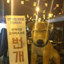 번개야식 이미지