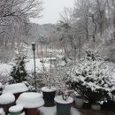 안동농원 이미지